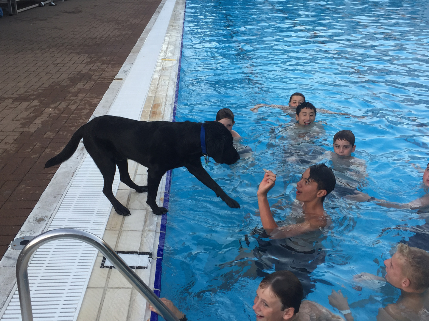Boys Trying To Entice Rocco Into Pool
