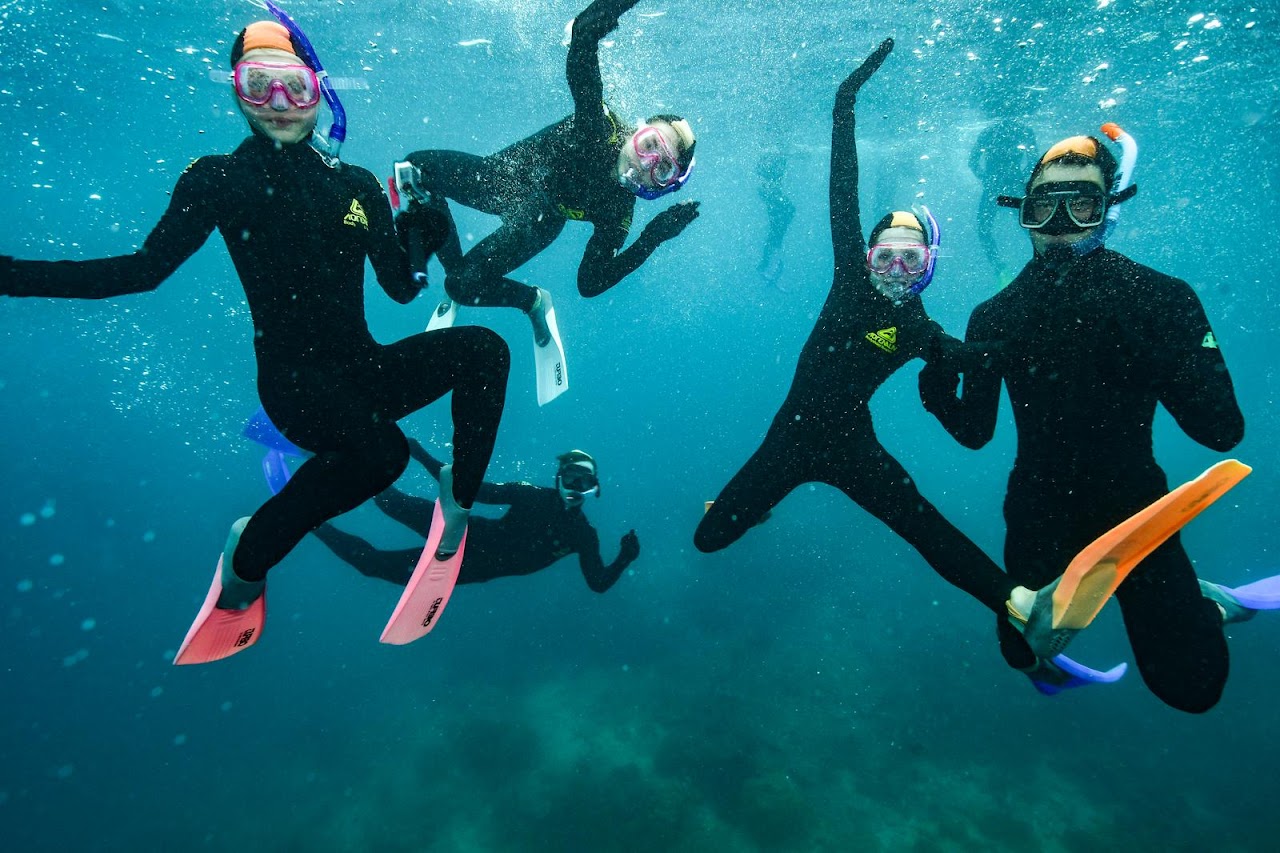 Biology Trip Snorkeling