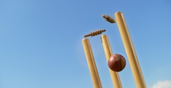 Generic Cricket Photo
