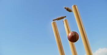 Generic Cricket Photo