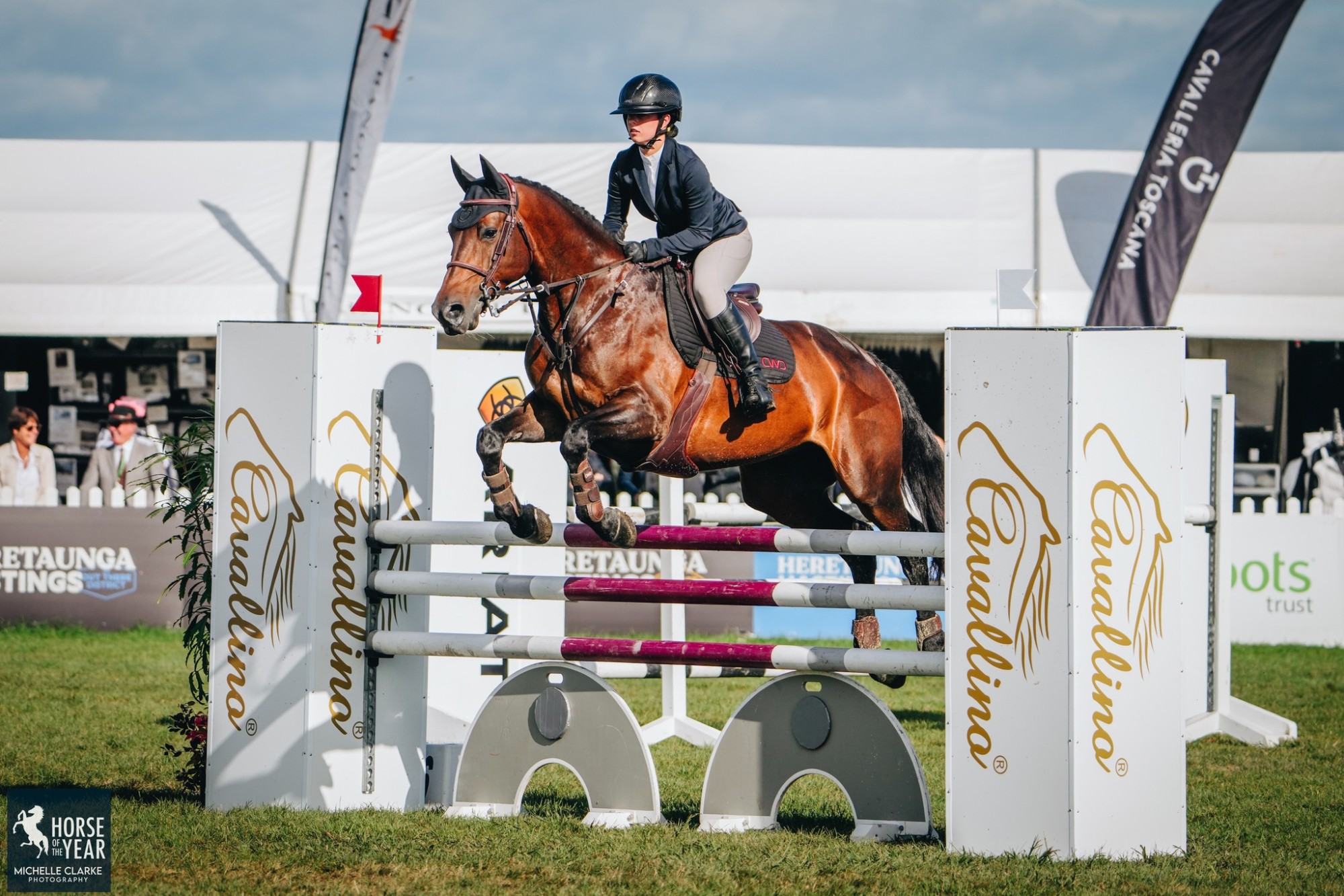 Coco F 1 Horse of the Year 2025