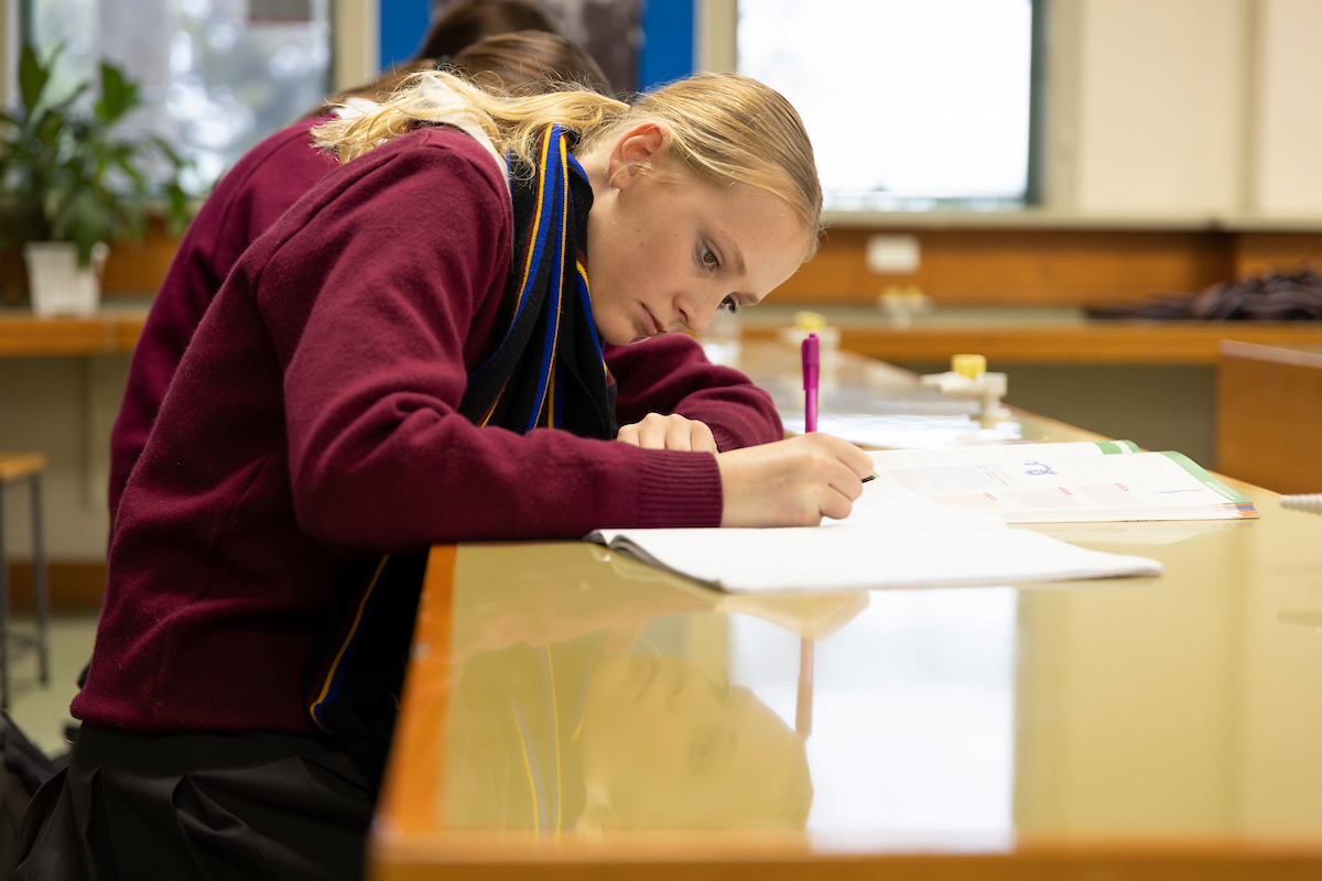 Girl Studying 