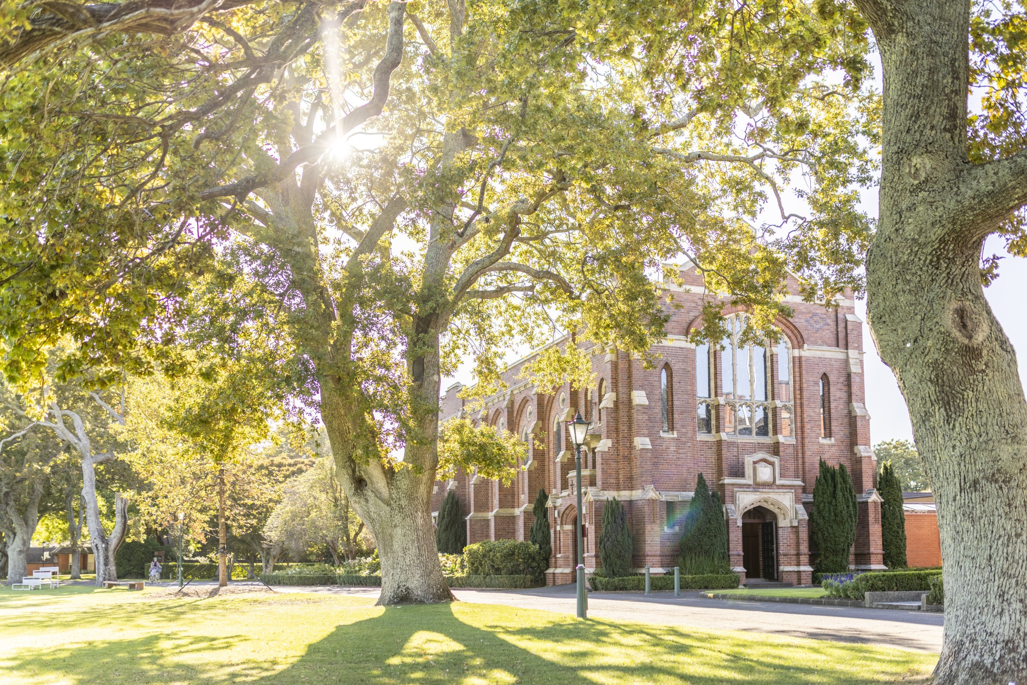 View of King's Chapel through the oaks