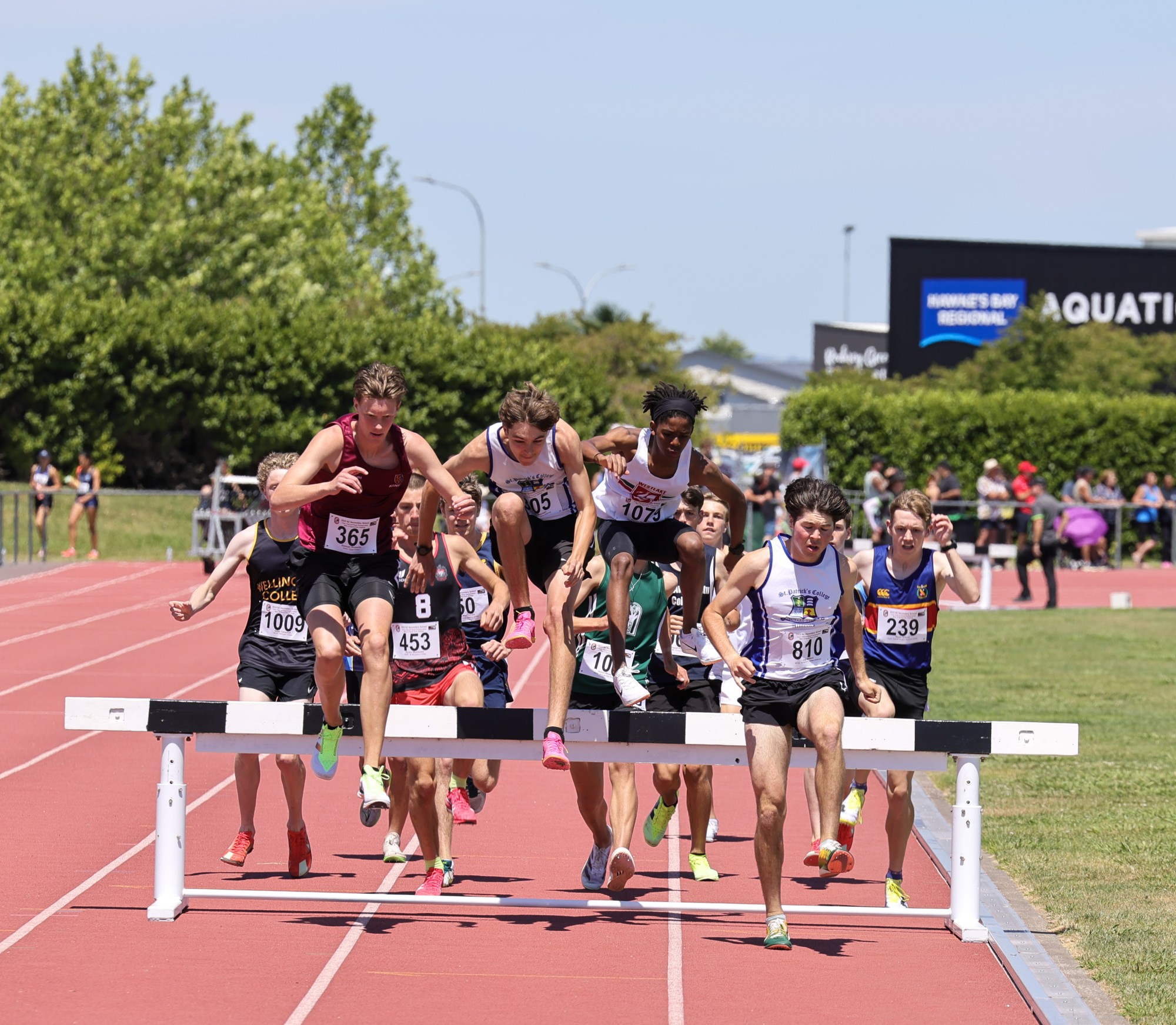 NZSS Hurdles