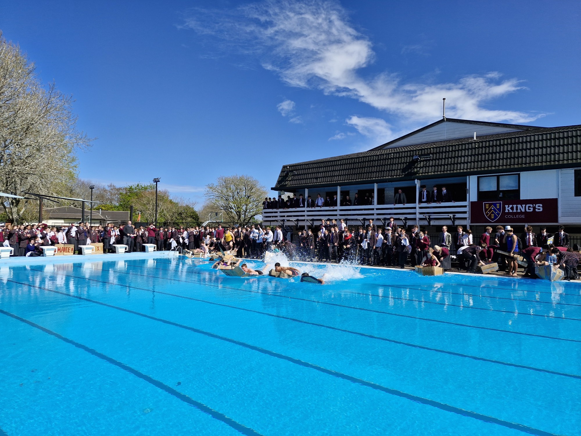 Stem Cup Pool Shot 2025