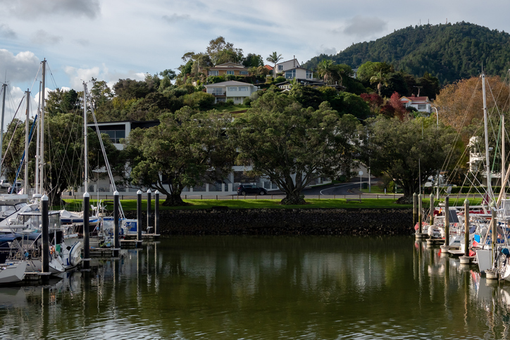 Whangerai Marina