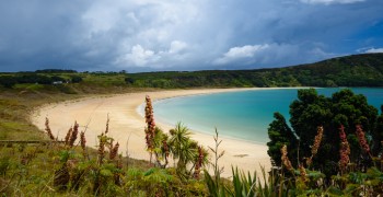 Far North image of beach