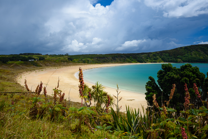 Far North image of beach